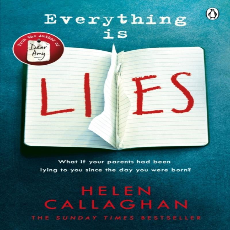 Everything Is Lies by Helen Callaghan Paperback Book 9781405923439