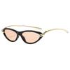 Women's Cat-Eye Sunglasses with Metal Knot Temples