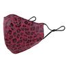 Fashion  Breathable Leopard Print  Mask Unisex Face Mask Reusable Mask