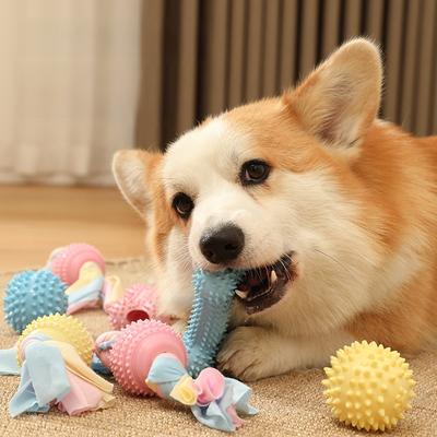 Quietschendes Hundekauspielzeug für kleine bis mittelgroße Hunde. Langlebiges TPR-Ballspielzeug für Welpen. Interaktives Haustierspielzeug.