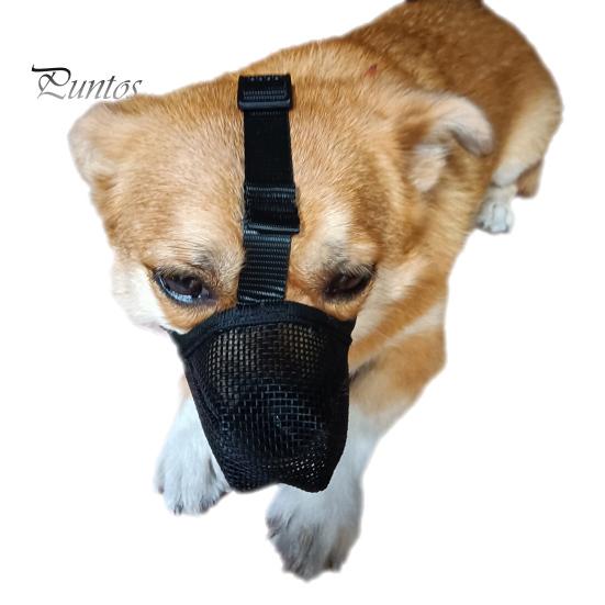 Nastavitelný náhubek pro psy z měkké síťoviny pro malé a střední psy Zabraňuje kousání Žvýkání Prodyšný náhubek pro domácí mazlíčky