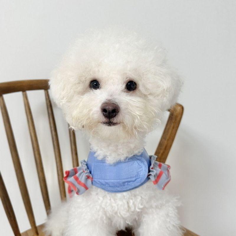 PLUM STUDIO Little Princess Harness