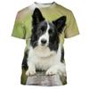 Border Collie 3D Gedrucktes T-Shirt Für Männer Mode Niedlicher Tierhund Unisex Rundhals Lässig Kurzarm T-Shirt Kleidung