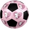 Moomin Theme Size 5 Soccer Ball, Suitable for Both Indoor and Outdoor Matches, a Gift Suitable for Everyone.