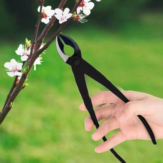 Yousheng Bonsai Hohlast-Astschere Manganstahl Schwerlast Bonsai-Schere Professionelles Bonsai-Werkzeug für präzises Astschneiden Bonsai-Training