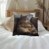 1Pc Lazy Tabby Cat Lounging Printed Throw Pillow Cover, Suitable For Sofa, Bedroom, Living Room,A Healing Gift For Cat Lovers.