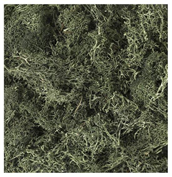 KATO Diorama Supplies Natural Material Plants Dark Green Railway Model Supplies 24-555