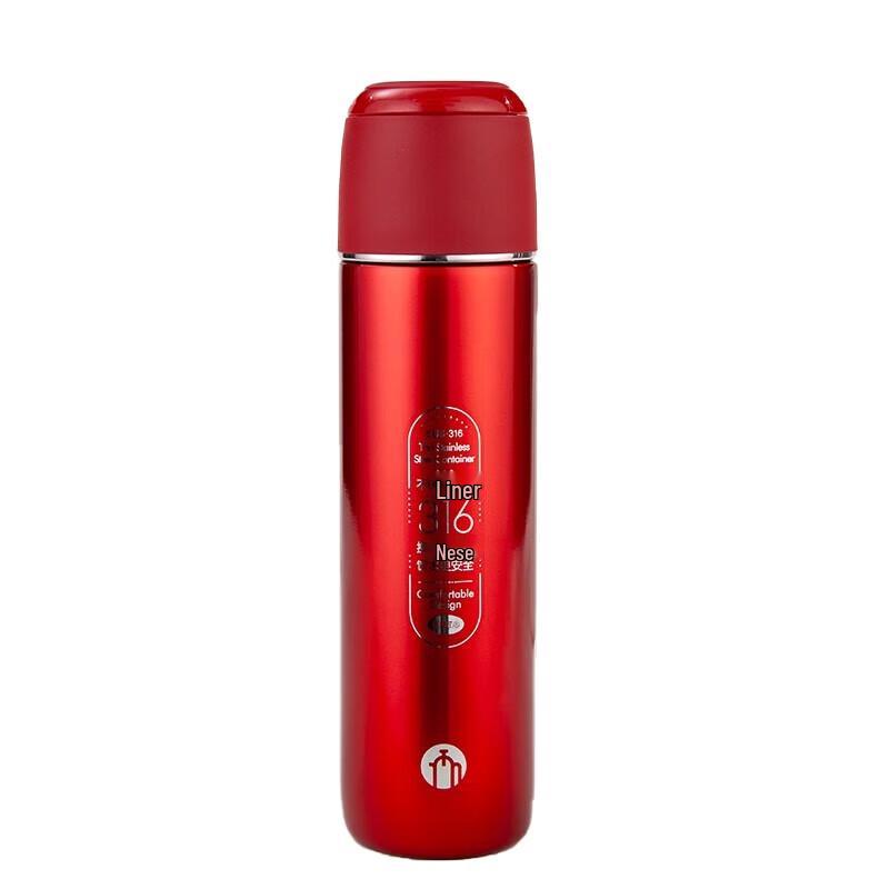 FUGUANG 500ml Vacuum Insulated Stainless Steel Water Bottle with Filter