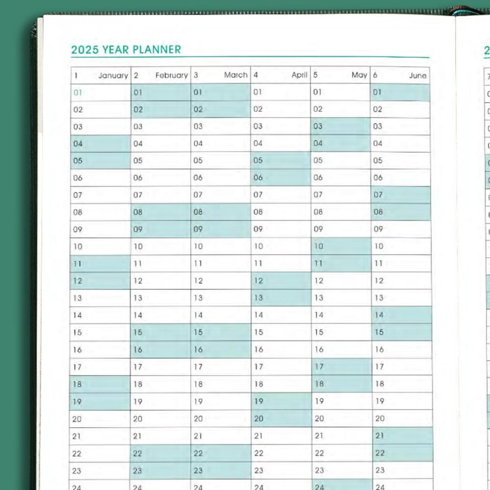 Planner Reminder 2025 Agenda Book A5 Daily Planner Portable Planner Notebook  Students