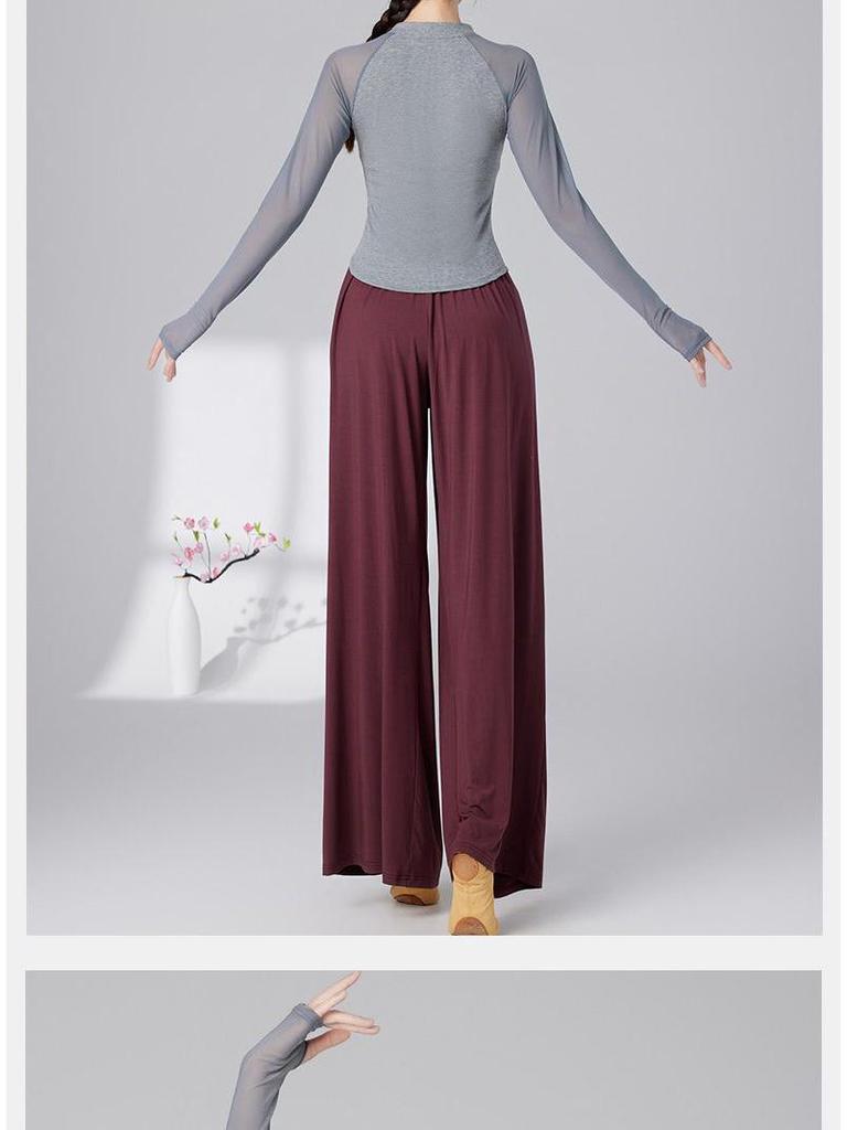 Women's Slim Fit Long Sleeve Stand Collar Dance Top - Versatile, Slimming, Classical Dance Practice Wear