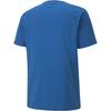 Puma Mens TeamGoal 23 Regular T-Shirt