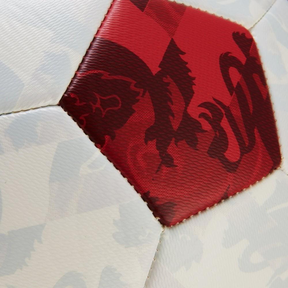 Mitre England Training Football