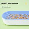 Hydroponischer Katzengras-Kasten Katzensnacks Katzenminze Hydroponische Erdlose Pflanzung Katzengras-Topf-Set Für Innenanbau Anzuchtschalen