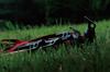 Snow Peak Peg 30cm Solid Stake 30 of Tent Tarp Setup Outdoor Camping (Set 6) R-103-1