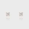Basic Cubic Earring [Basic Cubic Earrings_2 Colors]