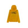 Sweatshirts Men's Yellow Hooded Moderate Regular CU4532-711
