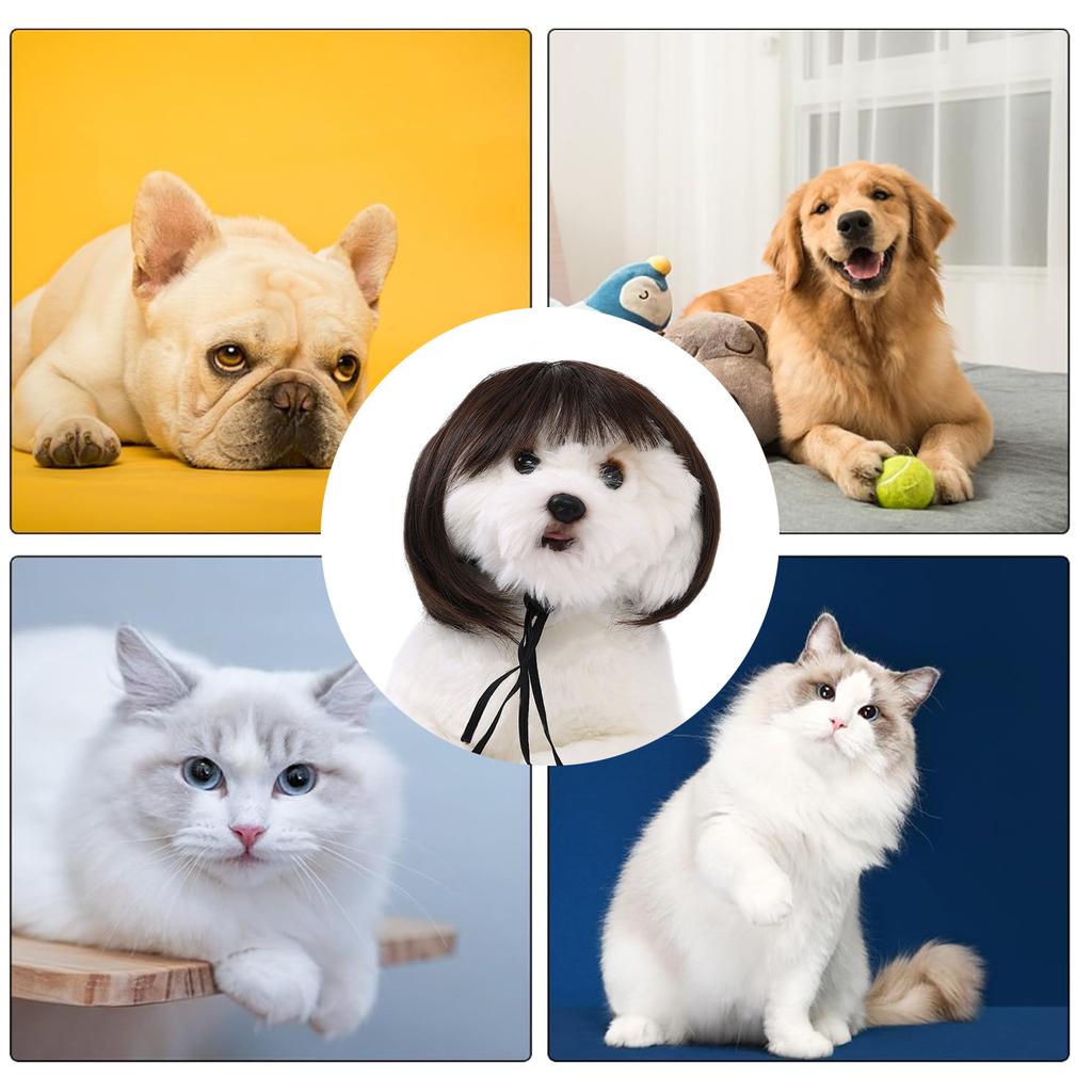 Fashion Pet Headpiece Eye-catching Look Wigs for Halloween Christmas Party Pet Headdress Wigs Gift for Party