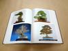[USED] Collection of works, catalogue "The 12th Nippon Bonsai Taikan Exhibition