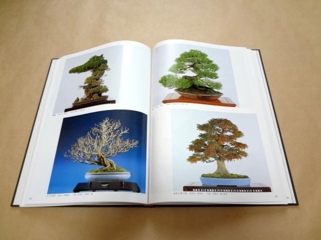 [USED] Collection of works, catalogue "The 12th Nippon Bonsai Taikan Exhibition