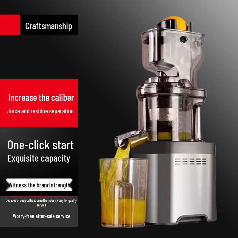 Beifu Multi-functional Slow Juicer