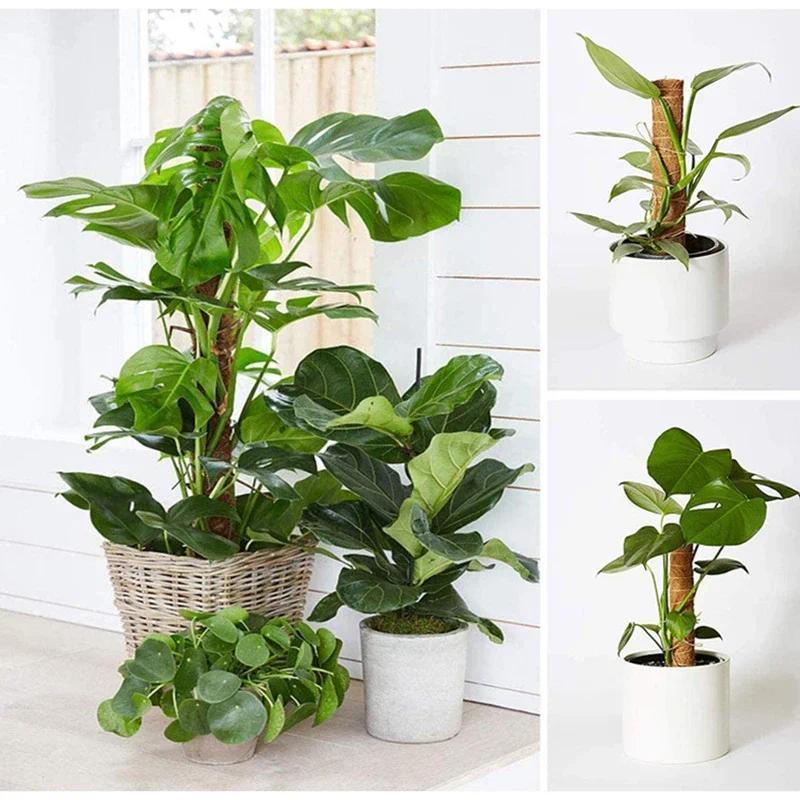 2pcs Plant Climbing Coir Totem Pole Safe Gardening Coconut Stick for Climbing Plants Vines and Creepers Plant Support.