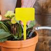 Plant Name Stakes 100Pcs Plastic Plant Labels Waterproof Garden Tags Nursery Stake Flowers Markers Herbs Sign Classification