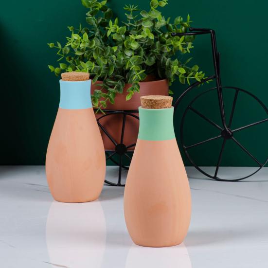 4Pcs Plant Watering Globes Self-Watering Spikes Automatic Watering Pots Plant Watering System Slow Release Watering Spikes