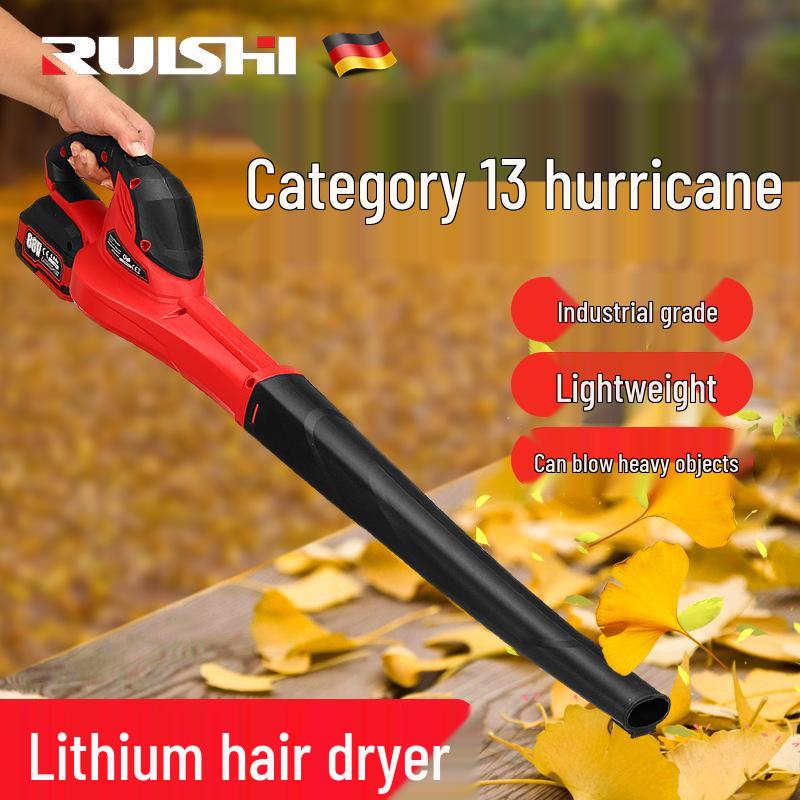 Ruishi High-Power Rechargeable Hair Dryer & Dust Blower/Vacuum for Home & Industrial Use