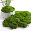 Artificial Moss Turf Landscape Ornament for Bonsai & Potted Plant Decoration