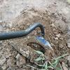 Heavy Duty Koolstofstaal Tuinhark Scherpe Blad Duurzaam Handvat Voor Huis Boerderij Wieden Graven Planten Bloembedden