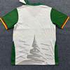 Cameroon White Short Sleeve 2025-26 Fan Jersey S-2XL