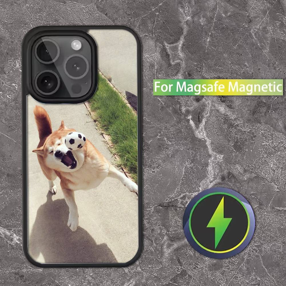 Animal Shiba Inu Dog Cute Phone Case For iPhone 16,15,14,13,12,11,Pro,Max,Plus,Mini,SE Magsafe Magnetic Wireless Charging