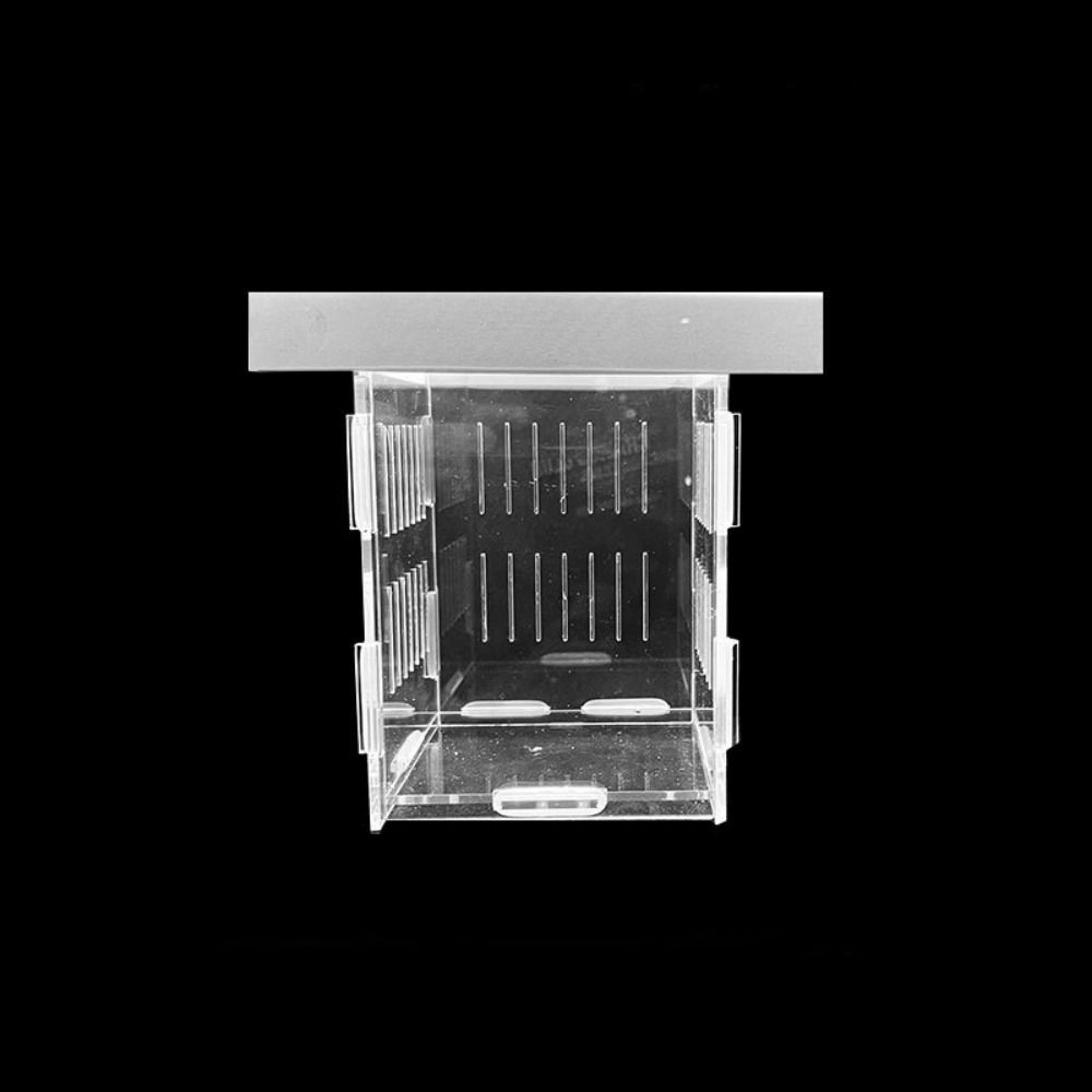 Acrylic Fish Isolation Box Detachable Fish Breeding Tank Floating Hatching Box  for Aquarium