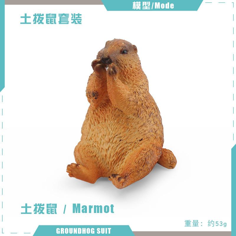 Children'S Solid Simulation Forest Animal World Groundhog Model Mouse Chipmunk Squirrel Solid Ornament Toy