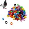 100 Pcs Pigeon Foot Rings Without Words Inner Diameter 8mm Racing Pigeon Flight Training Identification Ring Buckle Bird Tools