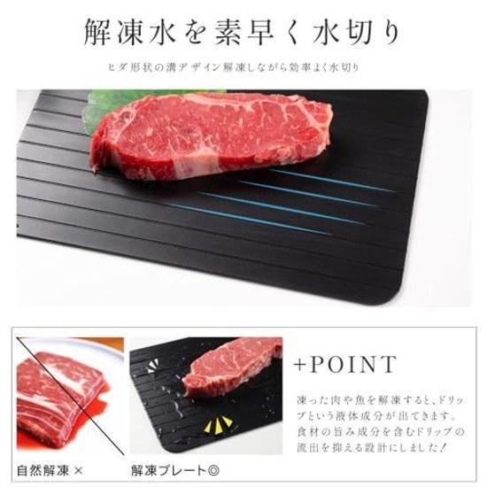 Aiji Defrosting Plate Rapid Thickness 3mm W29.5H20.8cm Simply Place Easy Time-Saving Convenience Item Tray Natural Quick Dish Aluminum Lightweight No