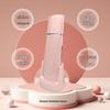 Ultrasonic Skin Scrubber & Blackhead Remover with Iontophoresis