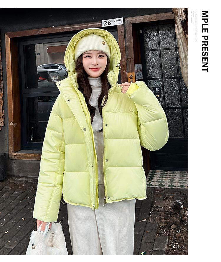 Dámská krátká větruodolná zateplená zimní bunda s kapucí a raglánovými rukávy