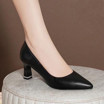 Damen High Heels 2025 Frühling und Herbst Neuer Stil Grober Absatz Flacher Ausschnitt Einzelner Schuh Spitz Professionelle Büroschuhe