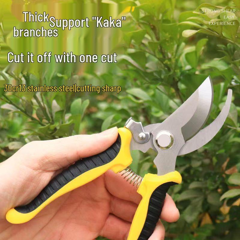Stainless Steel Multi-Purpose Pruning Shears for Garden & Flower Arrangement