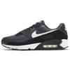 Air Max 90 'Black White' CN8490-002