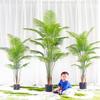 Popular Indoor Areca Palm Potted Plant - Large Green Decoration for Living Room