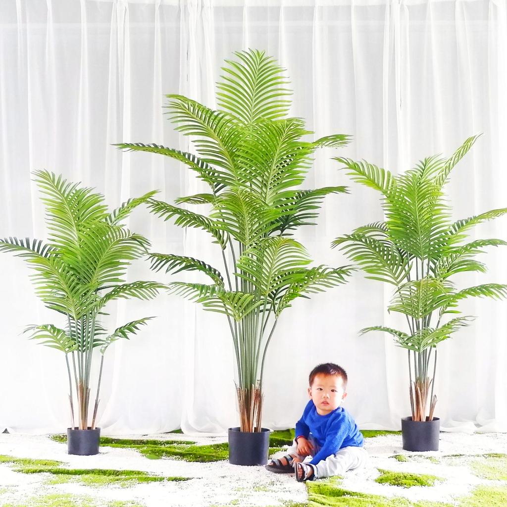 Popular Indoor Areca Palm Potted Plant - Large Green Decoration for Living Room