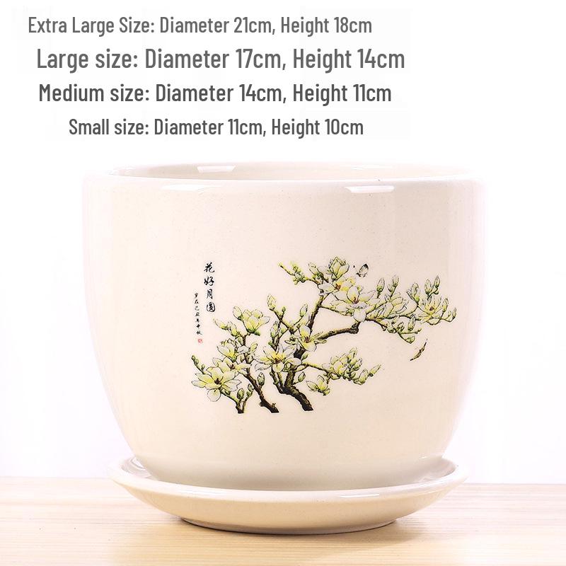 Extra Large Ceramic Flower Pot with Saucer for Succulents and Orchids, Creative Balcony Gardening Stand.