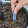 20/50/100Pcs Indoor/Outdoor Potted Plants Aeration Tubes White Drainage Pipe for Preventing Root Rot and Improving Drainage