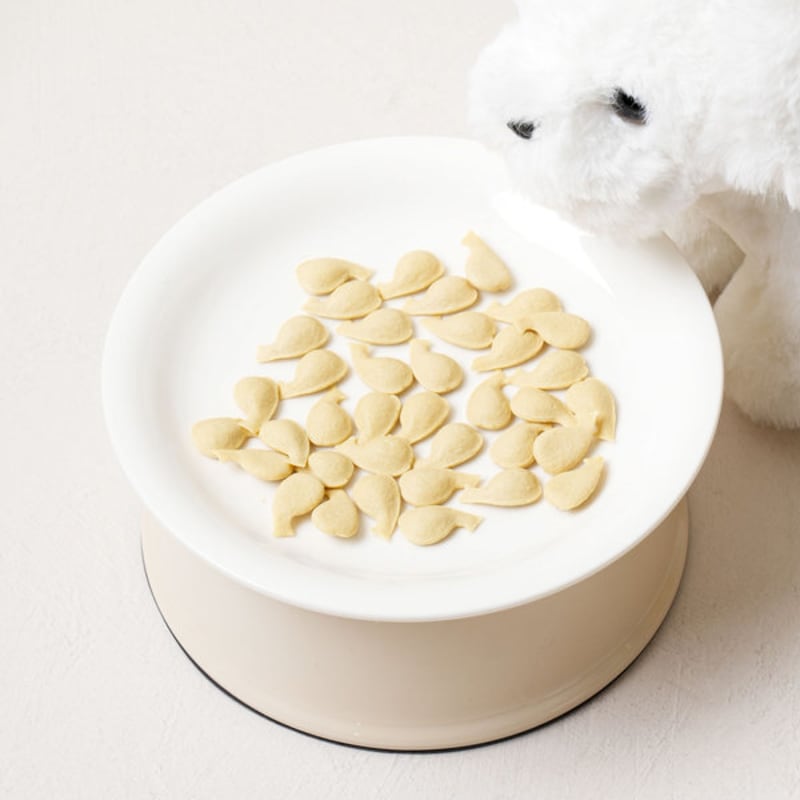 [Pet] Whale Pop Joint Health 30 G