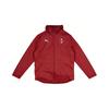 Puma × AC Milan 2020-21 Season Color Block Zip-Up Hooded Long Sleeve Football Shirt Men Tops 758214-08