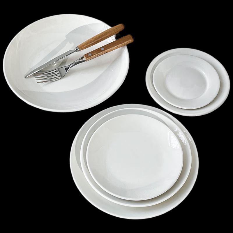 Morona 12-inch Round Ceramic Shallow Dinner Plates (Set of 10)