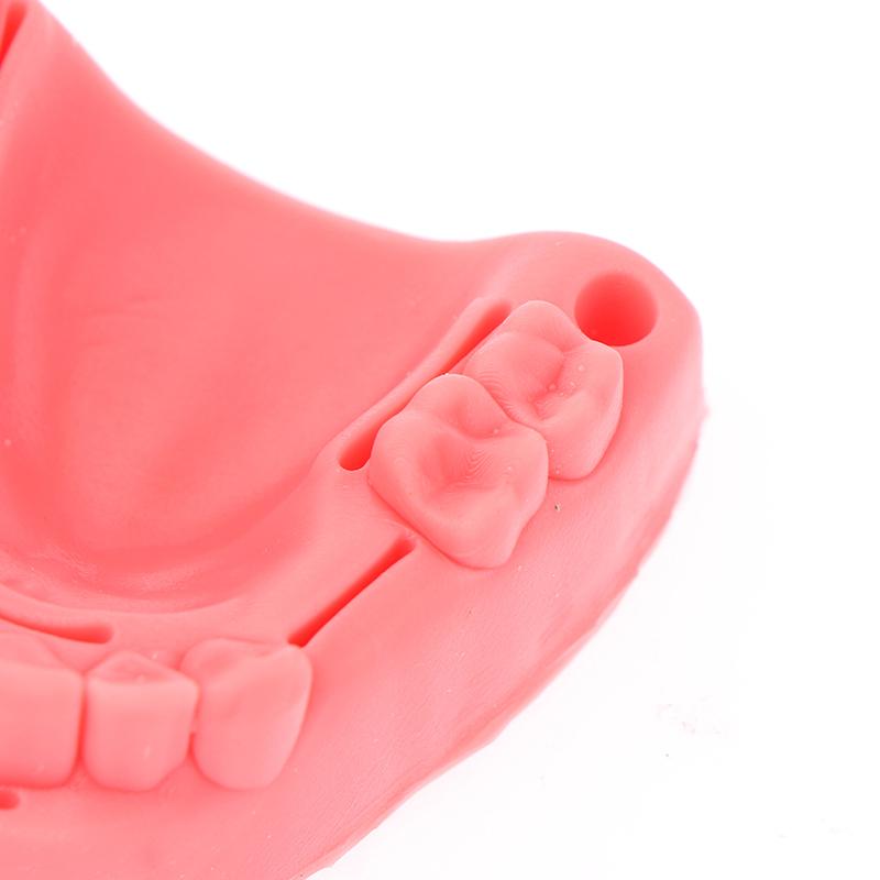Teeth Gum Combination Model Silicone Material Training Suture Module