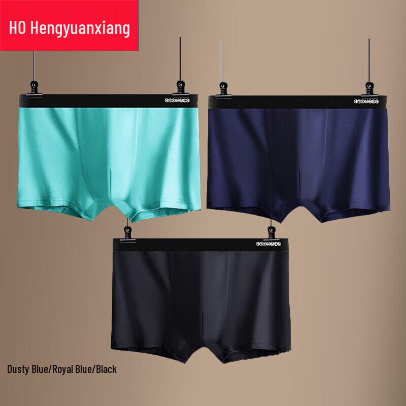 Hengyuanxiang Men's Plus Size Cotton Antibacterial Boxer Briefs